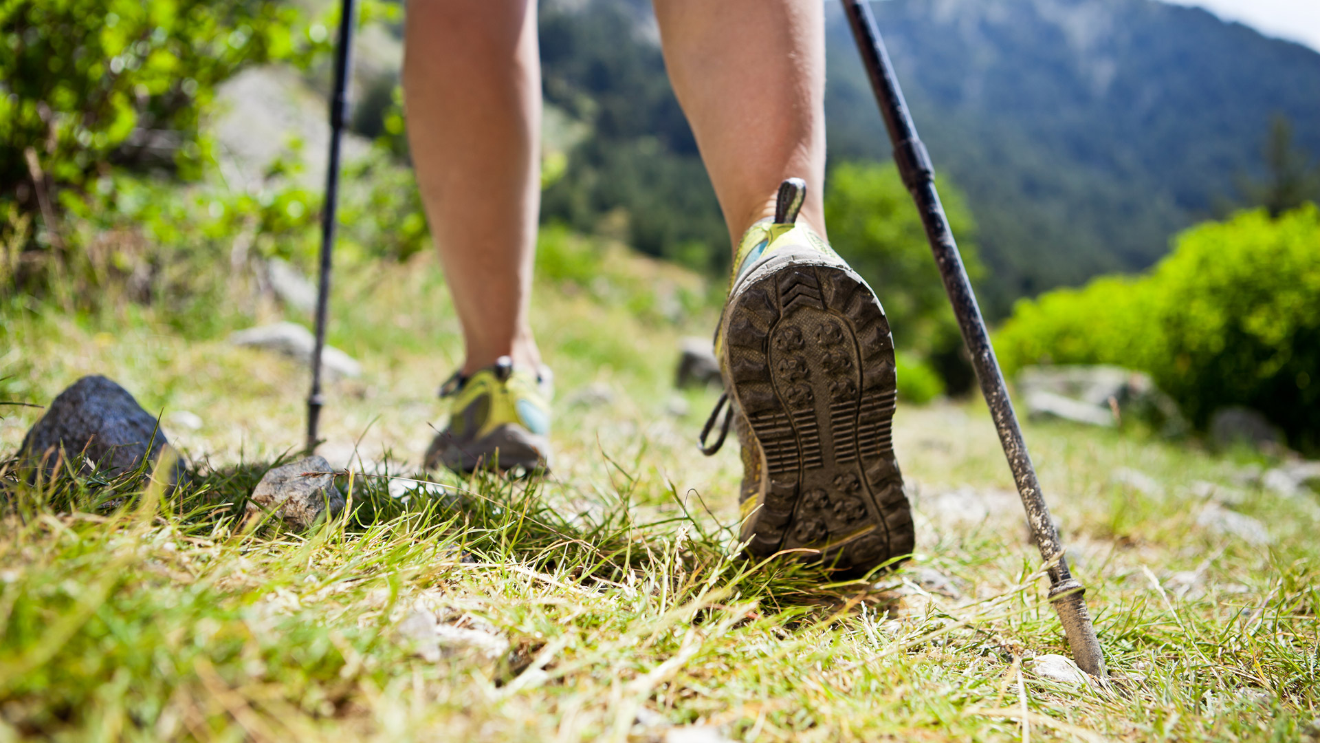 Trekking & Nordic Walking